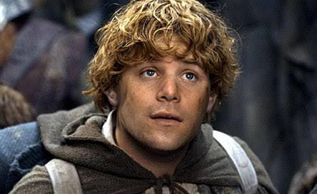 A screencap of a scene from The Lord of the Rings, in which Samwise is looking upwards with a slight smile.